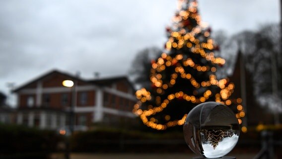 Ein Tannenbaum durch eine Glaskugel fotografiert. © Antje Berodt Foto: Antje Berodt