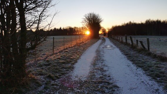 Ein Schnee bedeckter Weg führt an zwei abgezeunten Feldern vorbei. Am Horizont geht gerade die Sonne auf. © Petra Lassen Foto: Petra Lassen