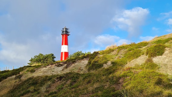 Ein Leuchtturm auf der Insel © NDR Foto: Beate Godau