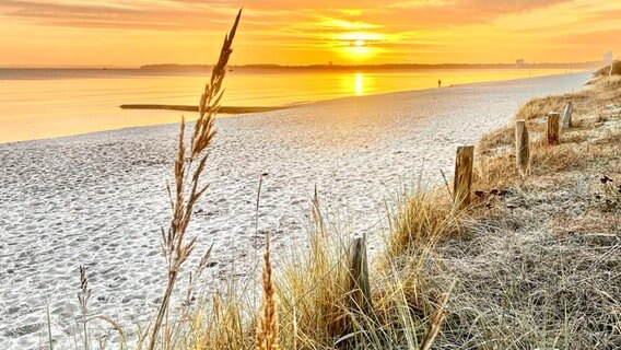 Sonnenaufgang  am Strand von Scharbeutz. © Jule Potthoff Foto: Jule Potthoff
