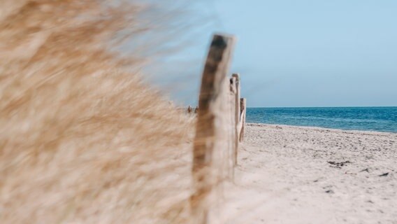 Zusehen ist ein weißer Sandstrand. Rechts ein Stückchen vom Meer und links im Vordergrund Dünengras. Das Bild wird diagonal geteilt durch eine Reihe von Holzpflöcken. © Lisa-Marie Wiening Foto: Lisa-Marie Wiening