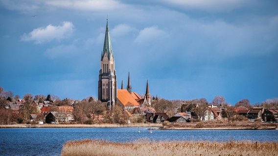 Der St. Petri-Dom zu Schleswig vor blauem Himmel, umgeben von der Ortschaft und Wasser. © Olaf Pinn Foto: Olaf Pinn