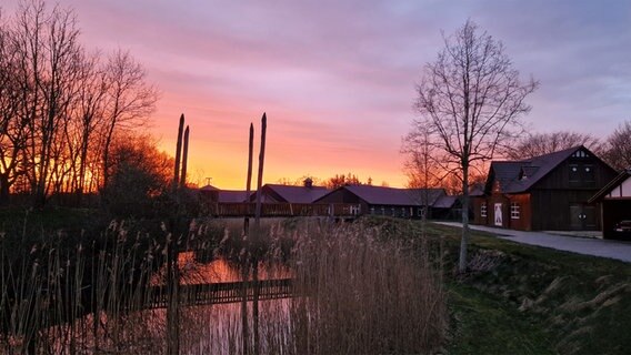Roter Sonnenuntergang über einer Häuserkette © Hans Gustav Cymontkowski Foto: Hans Gustav Cymontkowski