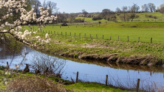Die Trave in der Nähe von Klein Barnitz © Martha Kannenberg Foto: Martha Kannenberg