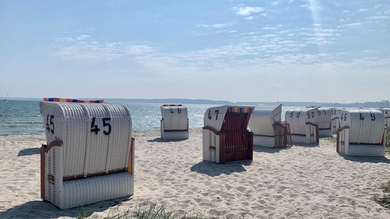 Strandkörbe bei strahlendem Sonnenschein am Strand von Eckernförde. © Nicole Bett Foto: Nicole Bett