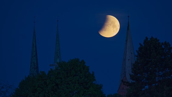 Die Mondfinsternis aus der Nacht von Sonntag auf Montag © Martin Schroeder Foto: Martin Schroeder