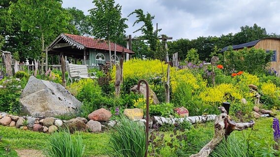 Ein blühender Garten mit Gartenlaube und einer Holzbank zwischen Kräutern. © Daniela Schlüter Foto: Daniela Schlüter
