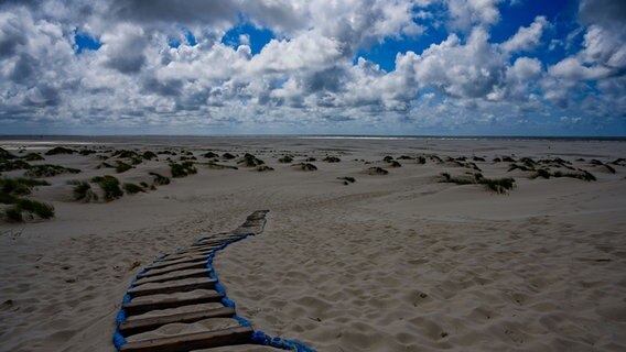 Das Bild zeigt einen weiten Strandabschnitt. Eine Holzleiter führt eine Düne herrunter. Am Himmel hängen Schäfchenwolken. © Stefan Nickstadt Foto: Stefan Nickstadt