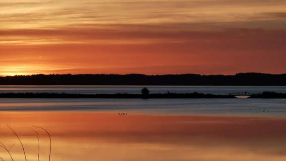 Eine von der Abendsonne leuchtende Wasserpberfläche, in der Mitte die Silhouetten von ein paar Enten. © Petra Lassen Foto: Petra Lassen