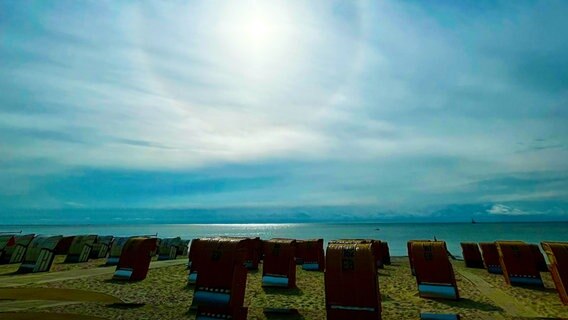 Strandabschnitt mit Strandkörben bei strahlendem Sonnenschein. © Holger Lippmann Foto: Holger Lippmann