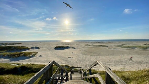 Strahlende Sonne über einem Strand. © Ilka Reinhard Foto: Ilka Reinhard