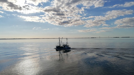 Ein Fischkutter auf dem Meer. © Angela Christiansen Foto: Angela Christiansen