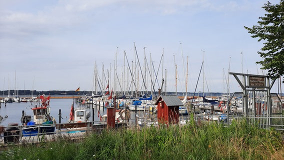 Segelboote liegen im Fischereihafen in Flensburg. © Carola Braasch Foto: Carola Braasch
