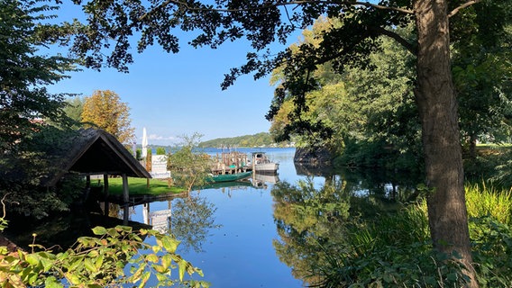 Die Fischerei Ratzeburg und Fischerboote unter blauem Himmel © Alice Steingrübner Foto: Alice Steingrübner