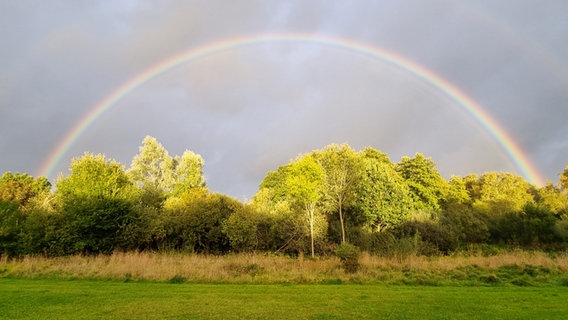 Ein Regenbogen über einer Reihe von Laubbäumen. © Alexandra Miller Foto: Alexandra Miller