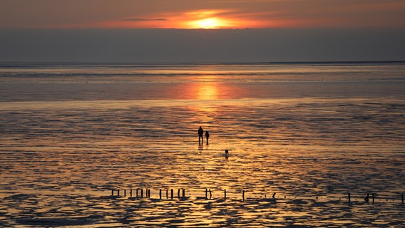 Silhouette zweier Menschen und Hund im Wattenmeer bei Sonnenuntergang © Ingo von Oven Foto: Ingo von Oven