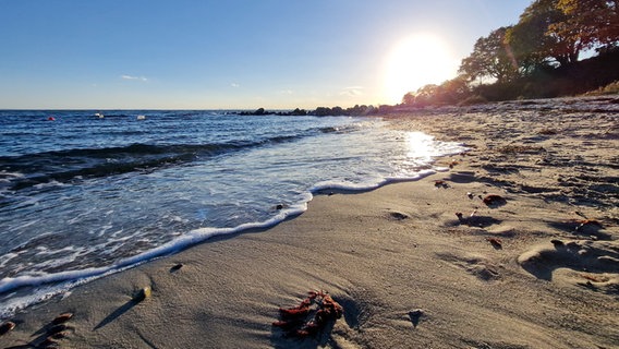 Klarer Himmel über der Ostsee bei strahlender Sonne. © Sabrina Rodich Foto: Sabrina Rodich