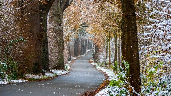 Der Oberteicher Weg in Jersbek nach leichtem Schneefall. © Klaus Kock Foto: Klaus Kock