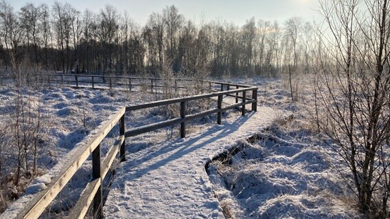 Ein schnee bedeckter Steg führt durch eine verschneite Moorlandschaft. © Thomas Kutscher Foto: Thomas Kutscher