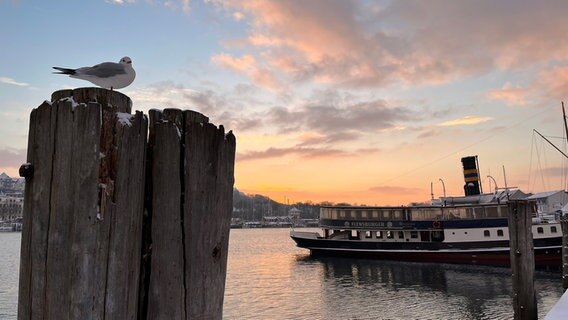Sonnenaufgang über dem Flensburger Hafen mit einem Kahn im Vordergrund. © Christiane Scherff Foto: Christiane Scherff