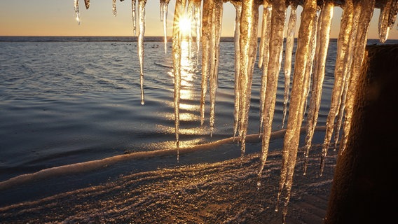 Eiszapfen an der Unterseite einer Brücke beim Sonnenaufgang © Klaus Erlwein Foto: Klaus Erlwein
