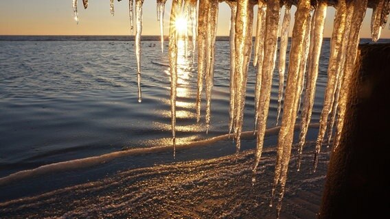 Eiszapfen an der Unterseite einer Brücke beim Sonnenaufgang © Klaus Erlwein Foto: Klaus Erlwein