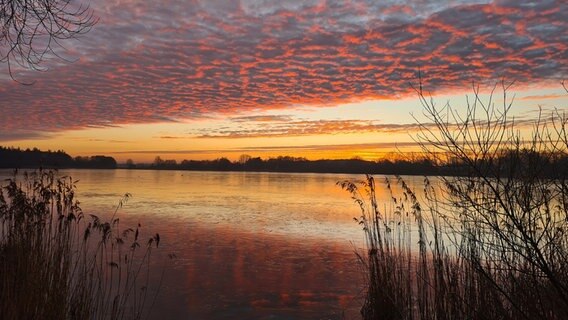 Ein Sonnenaufgang über dem leicht zugefrorenen Fockbeker See. © Stephan Andersen Foto: Stephan Andersen