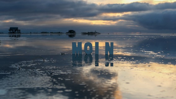Im nassen Strandsand steht in Großbuchstaben aus Holz das Wort Moin. © Wenke Stahlbock Foto: Wenke Stahlbock