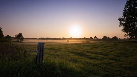 Sonnenaufgang über einer Wiese, über der sich Morgendunst gebildet hat. © Gerd Jürgensen Foto: Gerd Jürgensen