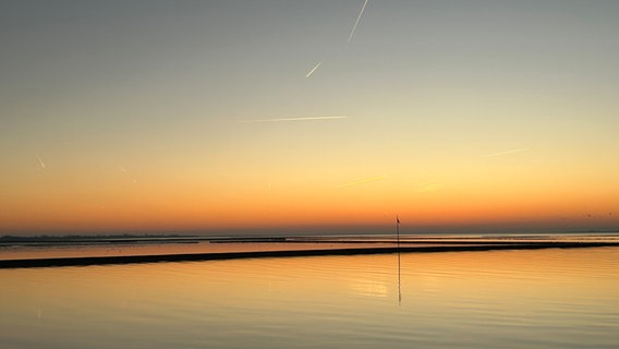 Sonnenuntergang am Husumer Dockkoog © Anke Tüchsen Foto: Anke Tüchsen