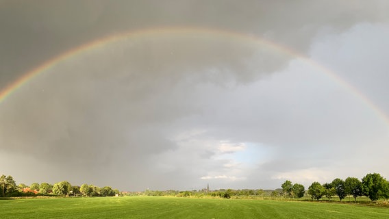 Regenbogen auf Wiese mit grauen Wolken © Detlev Kock Foto: Detlev Kock
