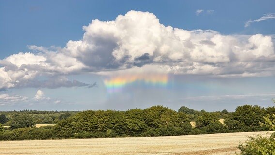 Regenwolken ziehen über ein Feld, ein kleiner Regenbogen entsteht unter einer Wolke. © Ralf-Georg Janke Foto: Ralf-Georg Janke