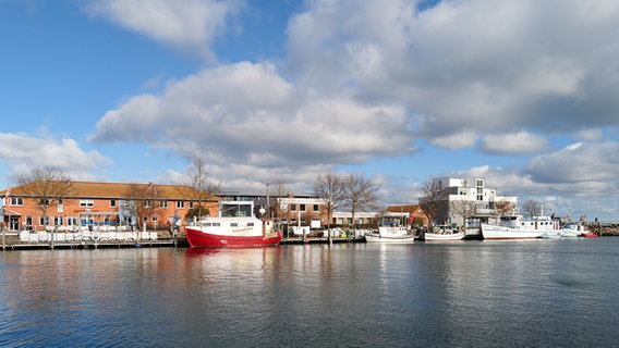 Hafenbereich in Heiligenhafen, mehrere Boote liegen im Wasser. © Manfred Friesse Foto: Manfred Friesse
