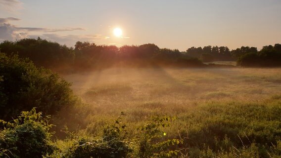 Dunstschwaden ziehen im Morgenlicht über eine Wiese. © Günter Schmidt Foto: Günter Schmidt
