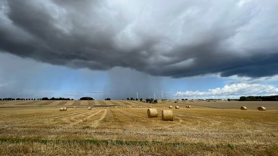 Unwetterwolken ziehen über ein Feld, vereinzelt regnet es. © Olav Gerlach Foto: Olav Gerlach