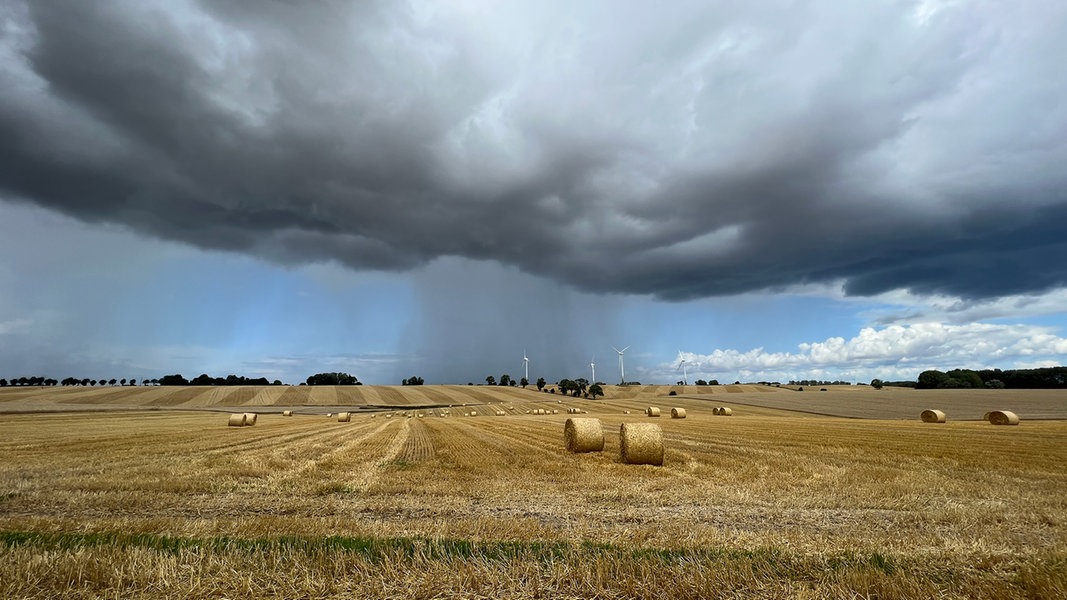 Regen und Nässe behindern Ernte in MV