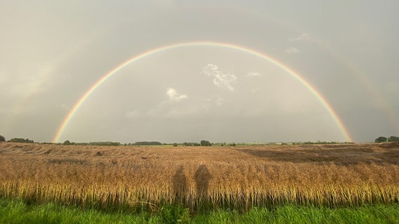 Zwei Regenbögen vor stark bewölktem Himmel über einem Rapsfeld. © Katrin Möhr Foto: Katrin Möhr