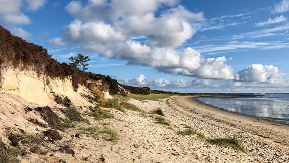 Der Strand von Sylt in Morgenstimmung. ©  Cornelia Göricke-Penquitt Foto:  Cornelia Göricke-Penquitt