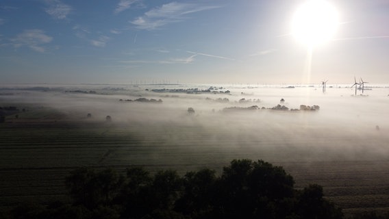 Windräder und Bäume gucken durch die Nebeldecke in der Morgensonne. © Kai Brandt Foto: Kai Brandt