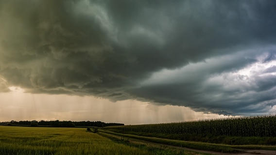Dunkle Gewitterwolken über den Feldern im Kreis Rendsburg-Eckernförde. © Mike Mohr Foto: Mike Mohr