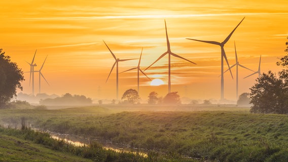 Sonnenuntergang über einer Au, im Hintergrund stehen viele Windräder. © Peter Kuhr Foto: Peter Kuhr