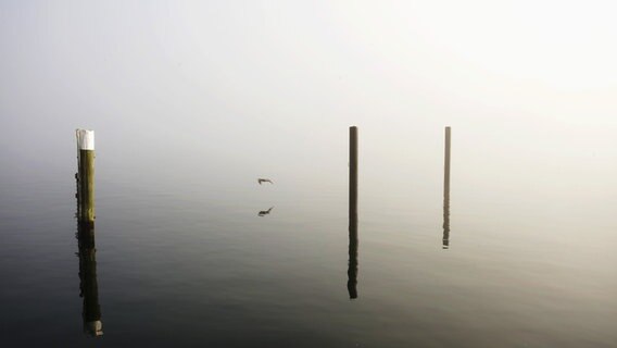 Nebel auf dem Wasser. © Mona Speckemeier Foto: Mona Speckemeier