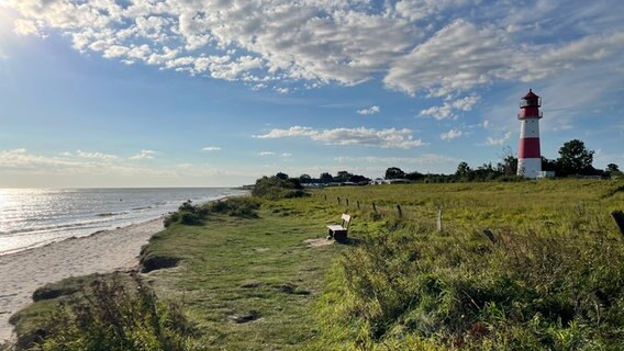 Zwischen Leuchtturm und Strand steht eine Bank auf dem Grün. © Ruth Kutzner Foto: Ruth Kutzner