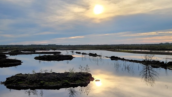Sonnenstrahlen dringen durch die Wolkendecke über dem Himmelmoor. © Holger Totzek Foto: Holger Totzek