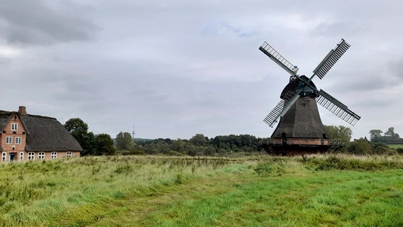 Auf freier Fläche steht eine Mühle unter bewölktem Himmel. © Marita Volkmann Foto: Marita Volkmann