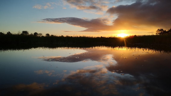 Wasser reflektiert die tiefstehende Sonne und den Himmel in der Nähe von Achtrup im Kreis Nordfriesland © Peter Körner Foto: Peter Körner