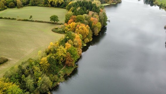 Drohnenaufnahme vom Rosensee und dem herbstlichen Ufer. © Wolfgang Hinz Foto: Wolfgang Hinz