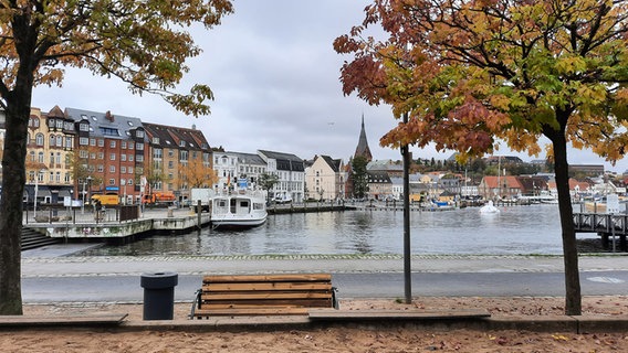 Die Hafenspitze in Flensburg mit vielen Booten im Wasser bei bedecktem Himmel. © Hans-Werner Carstensen Foto: Hans-Werner Carstensen