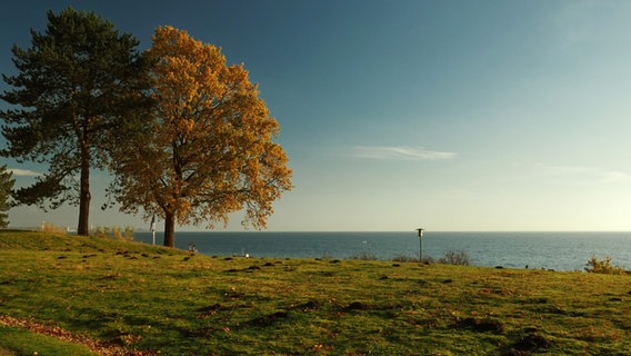 Die Mittagssonne steht über der Ostsee. © Marlies Klies Foto: Marlies Klies