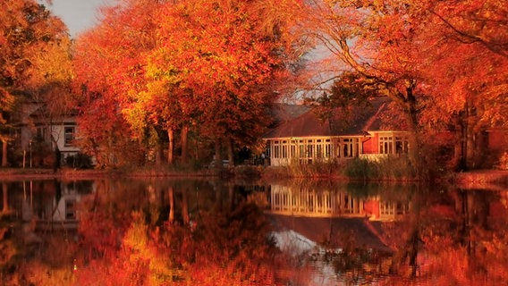 Viele Bäume mit rot-orangenen Blättern befüllen das Bild. Diese werden in einem Teich widergespieglelt. Such ein paar Häuser sind zu sehen, welche von den herbstlichen Farben angestrahlt und eingefärbt werden. © Christian Meurer Foto: Christian Meurer